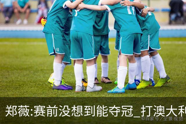 郑薇:赛前没想到能夺冠 打澳大利亚队消耗巨大